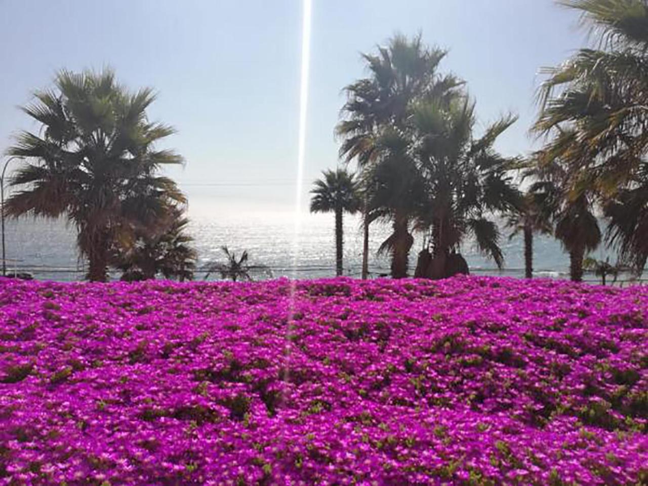 Playa Paraiso Resort กอนกอน ภายนอก รูปภาพ